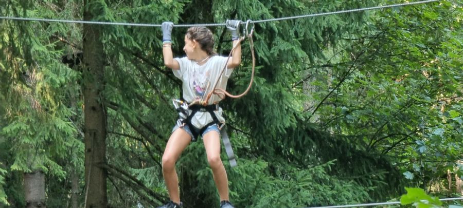 שאמוני והאלפים הצרפתיים